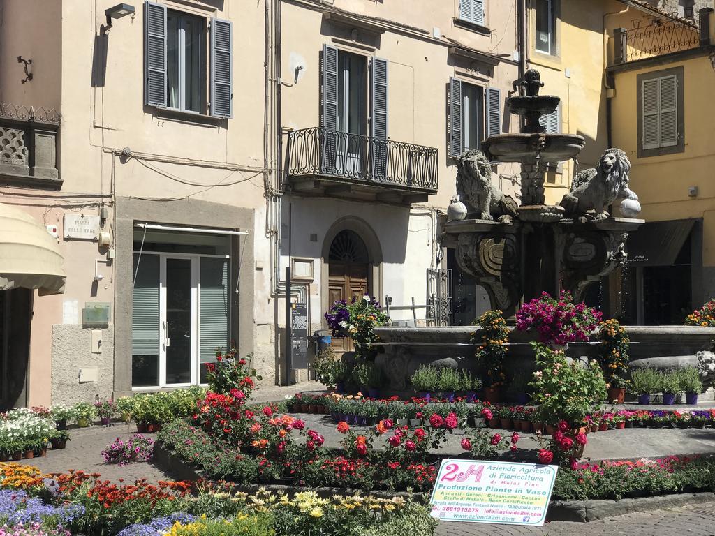 Le Erbe Guest House Viterbo Exterior photo